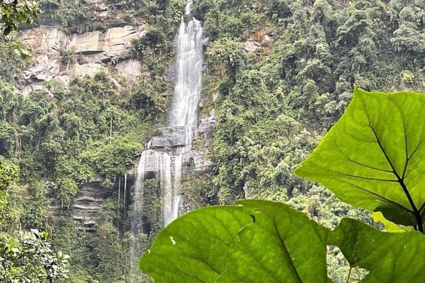 A waterfall cascading down a rocky cliff surrounded by dense forest. 2