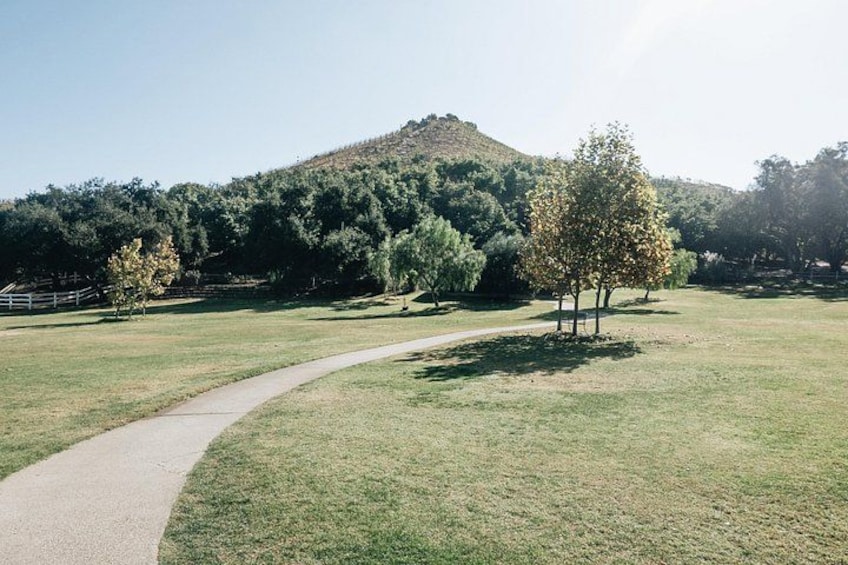 Malibu: Guided Vineyard Hike with Photo Stops and Wine 3