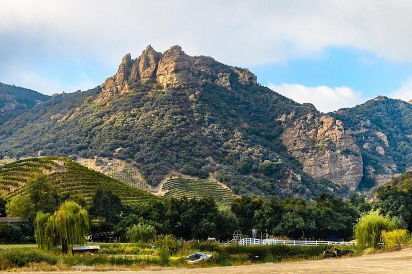 Malibu: Guided Vineyard Hike with Photo Stops and Wine 4