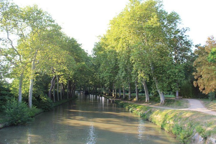 Un fiume circondato da alberi, un sentiero e una panchina. 4