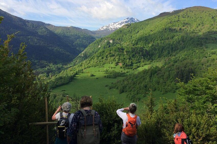 A group of hikers on a trail overlooking a valley with mountains in the background. 1