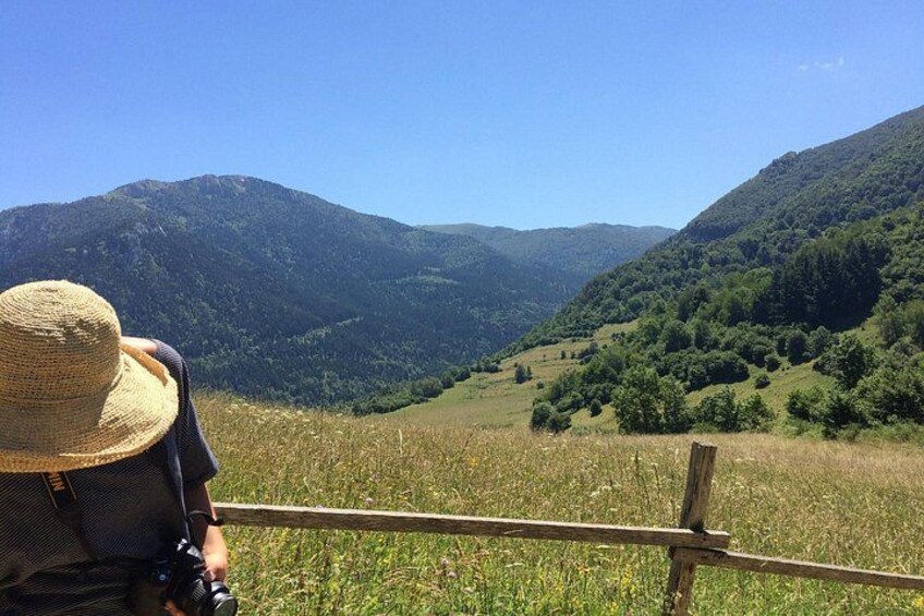 A person with a camera, wearing a straw hat, standing on a grassy hill overlooking a valley with mountains in the background. 3