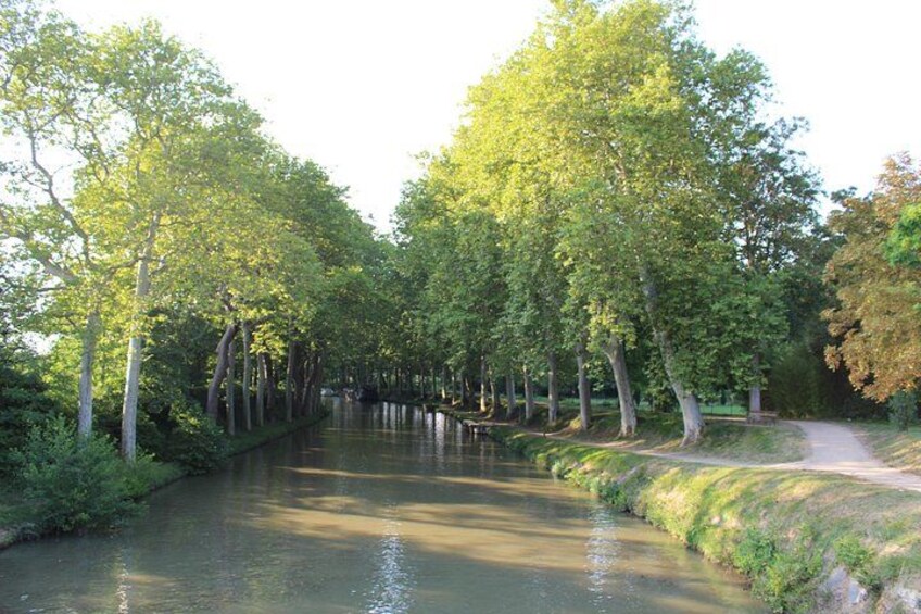 Ein Fluss, der von Bäumen, einem Weg und einer Bank gesäumt wird. 2