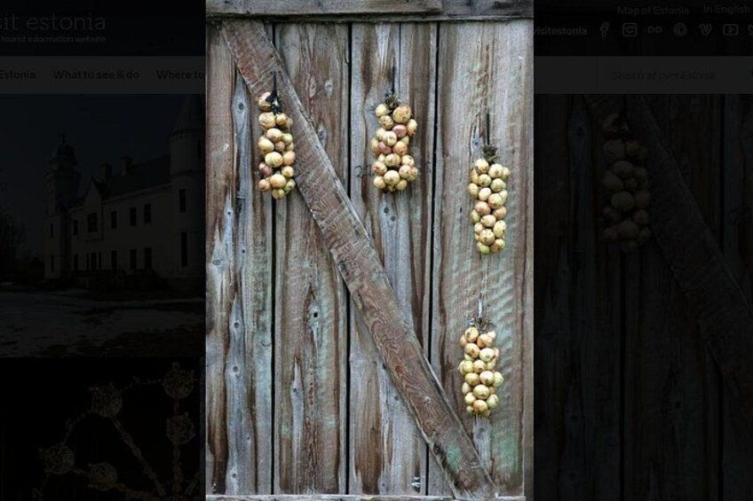 A rustic wooden door with clusters of potatoes hanging on it. 3