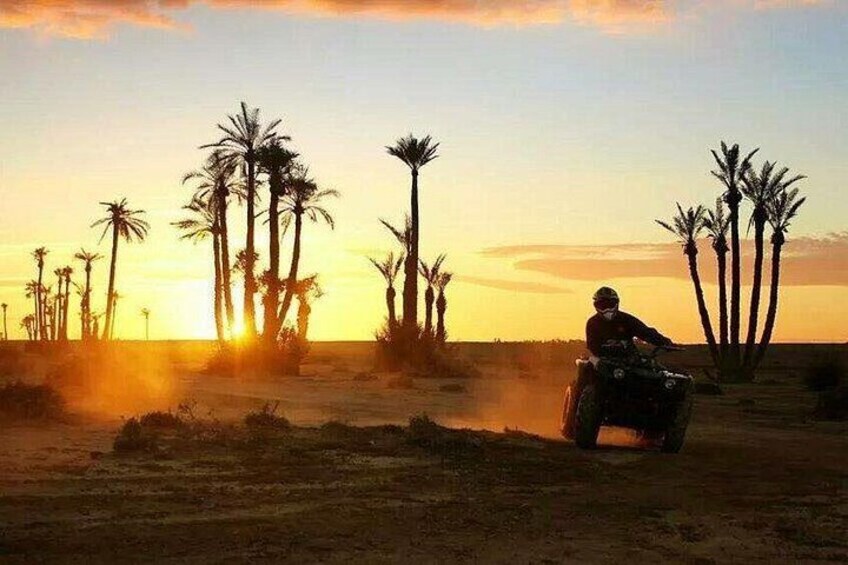 Paisaje desértico con palmeras y una persona montando en un cuatrimoto. 3
