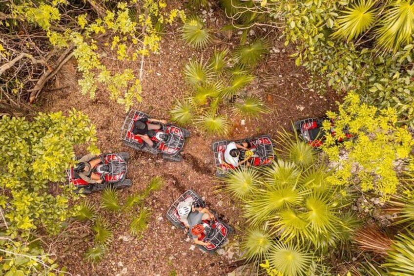 Deep Jungle Adventure (ATV: additional activity) 2