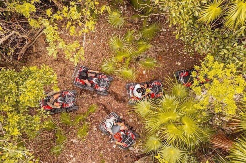 Deep Jungle Adventure (ATV: additional activity) 5