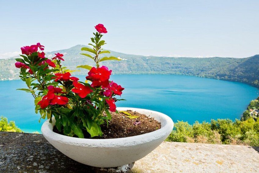 A potted plant with red flowers, a clear blue lake, and a mountainous landscape in the background. 4