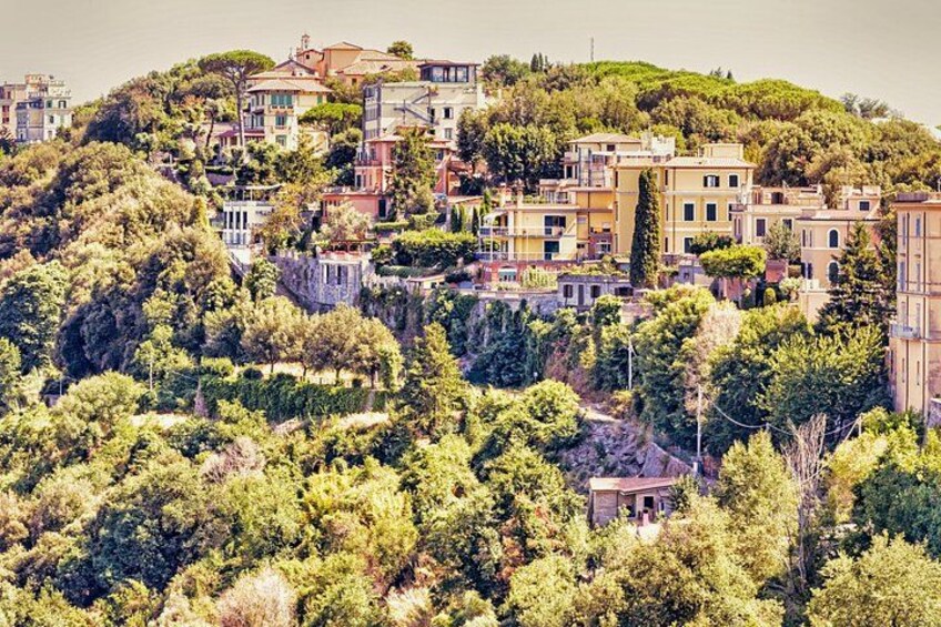 A hillside town with buildings nestled among trees. 5