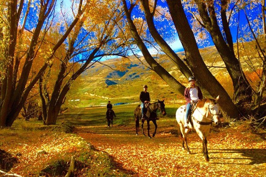 Autumn Cardrona Valley 4