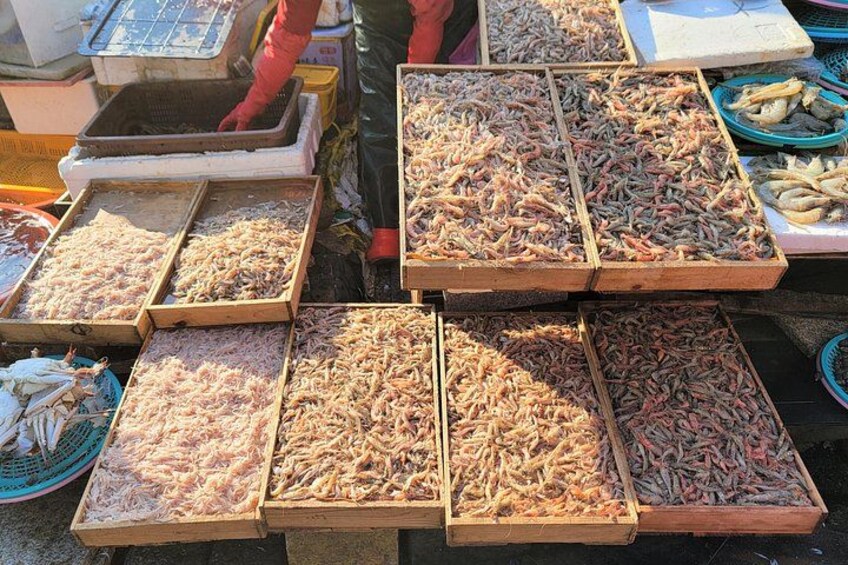 Gamcheon Culture Village, Jagalchi market storytelling Tour 5