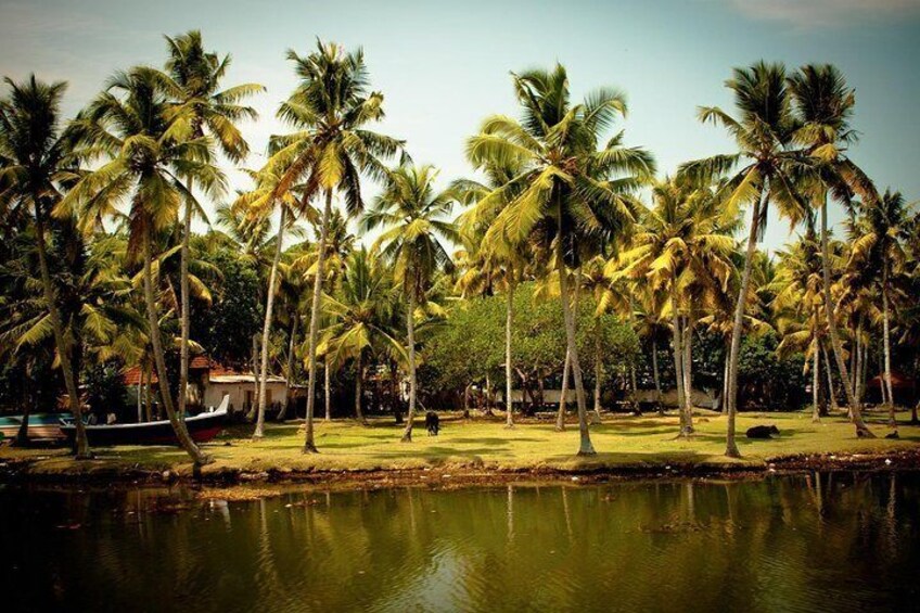 Private 10 Nights 11 Days South India With Mumbai Tour Package 3