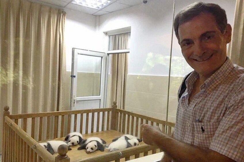 Private Half-Day Chengdu Panda Breeding Center Tour with Optional Volunteer 1