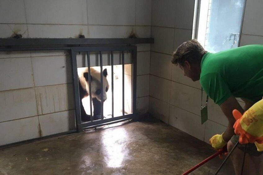 Private Half-Day Chengdu Panda Breeding Center Tour with Optional Volunteer 2