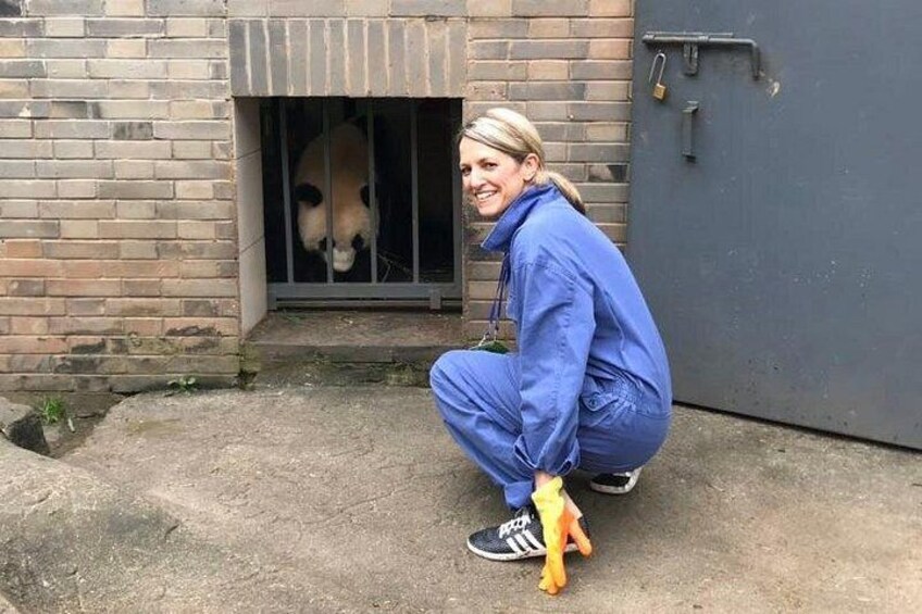Private Half-Day Chengdu Panda Breeding Center Tour with Optional Volunteer 3