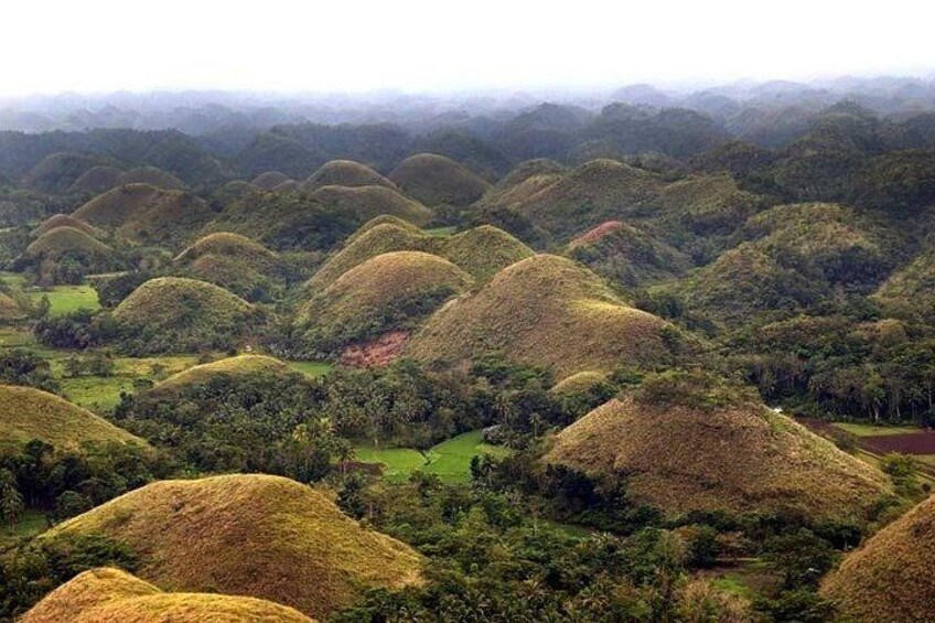 A landscape of mounds with dense vegetation and a distant mountain range. 5