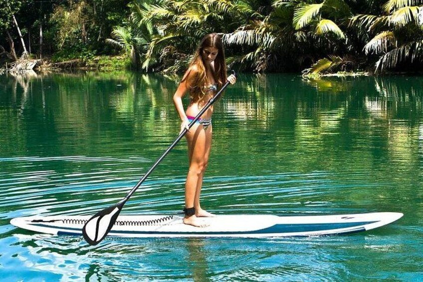 A person paddleboarding on a calm body of water surrounded by lush greenery. 3