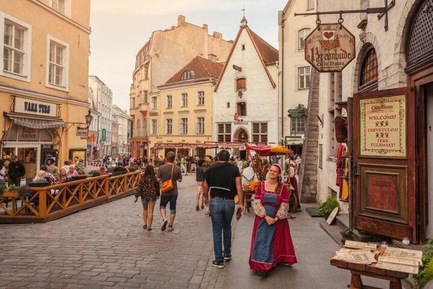 Guided Tallinn Day Tour from Helsinki / Include hotel transfers 1