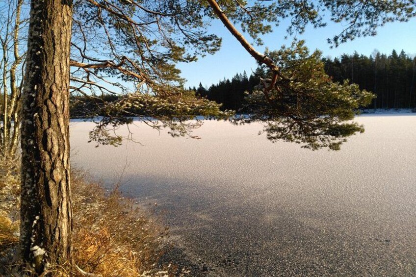 A frozen lake with trees and a clear sky. 4