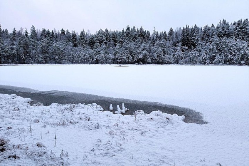 A snow-covered landscape with a frozen lake, trees, and a snow-covered ground. 5
