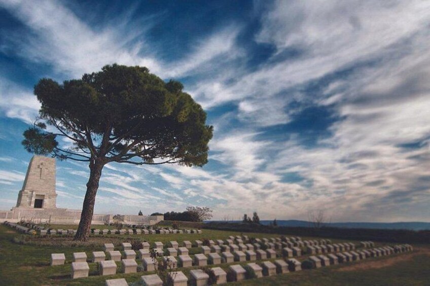 Un cementerio con lápidas, un árbol grande y un monumento. 2