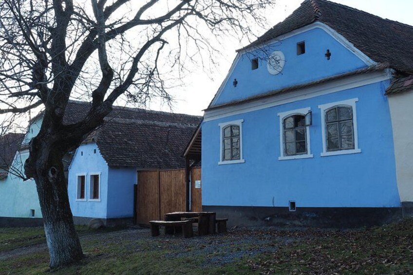 A blue house with a wooden door, a tree, and a bench in a rural setting. 3