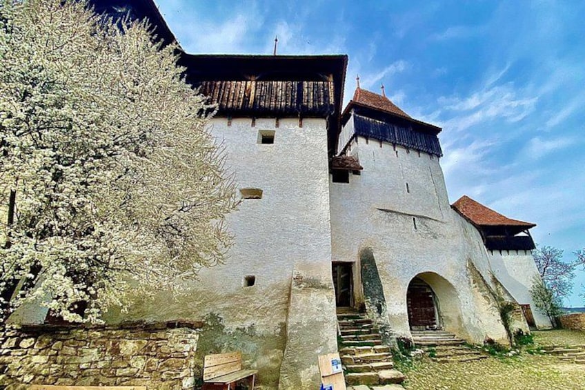 Viscri Fortified Church 2