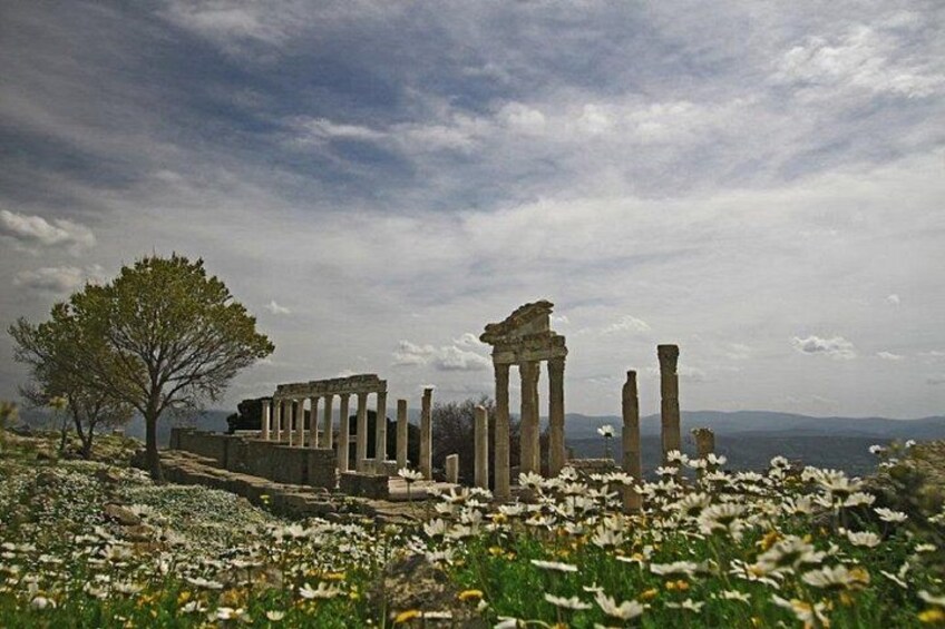 Ancient ruins with columns, a tree, and a field of flowers under a cloudy sky. 4
