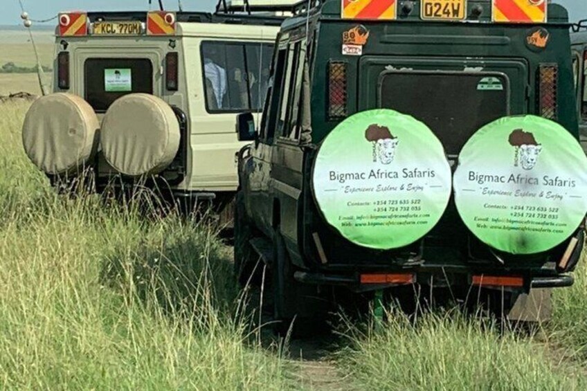 A safari vehicle with two green circular signs advertising Bigmac Africa Safaris. 1
