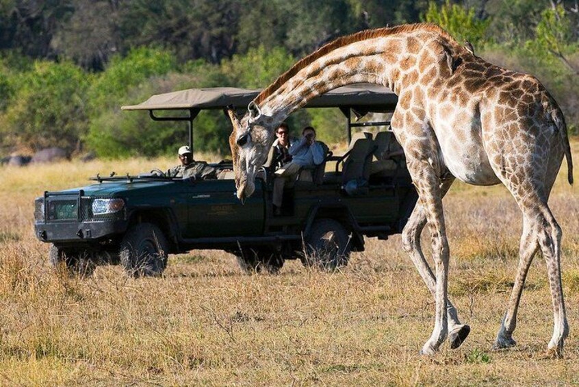 Chobe Full Day Trip From Victoria Falls 2