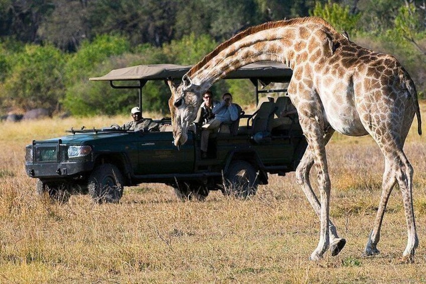 Chobe Full Day Trip From Victoria Falls 2