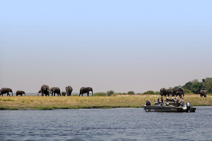 Chobe Full Day Trip From Victoria Falls 2
