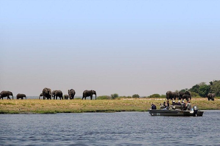 Chobe Full Day Trip From Victoria Falls 2