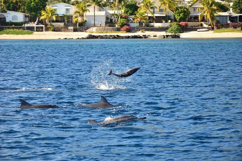 Catamaran Cruise to Ile Aux Bénitiers: Dolphin watch, Crystal Rock & Transfer 4