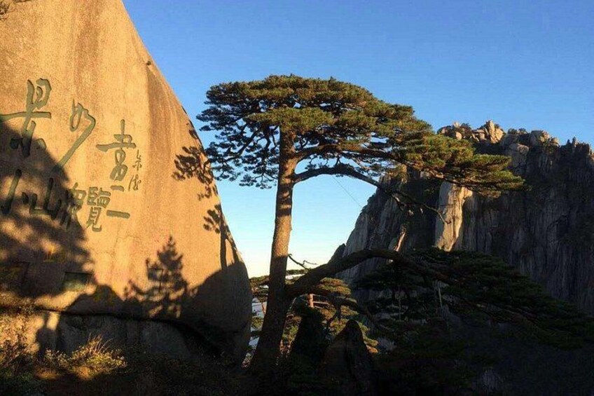 A large rock with inscriptions, a pine tree, and a rocky cliff. 1