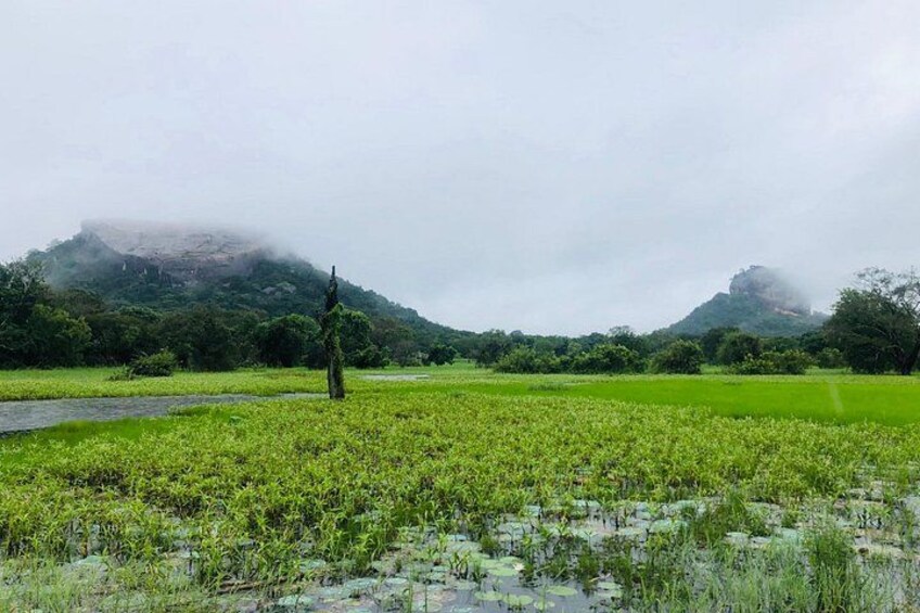 in one time you can see sigiriya and piduranagala rocks 4