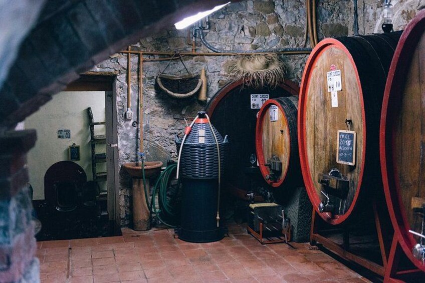 Private Vintage Fiat 500 tour in Chianti From Siena 2