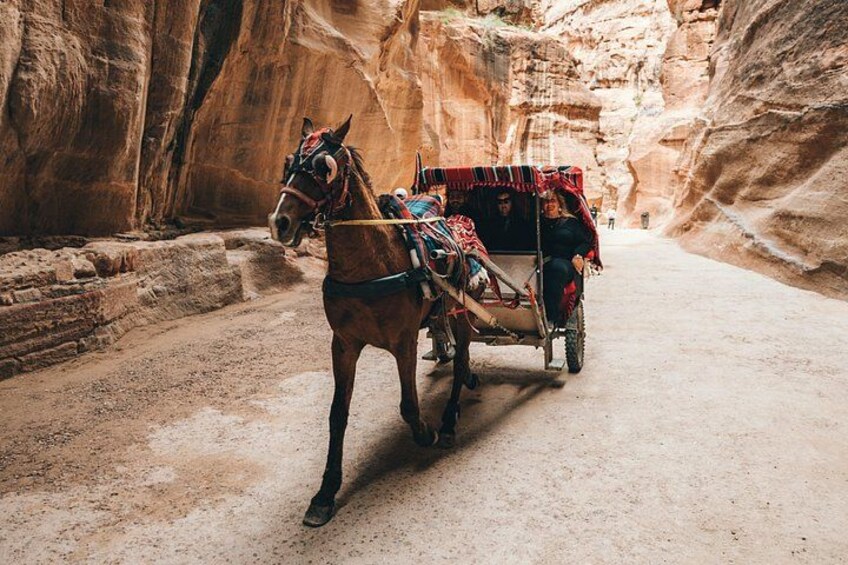 Petra 1