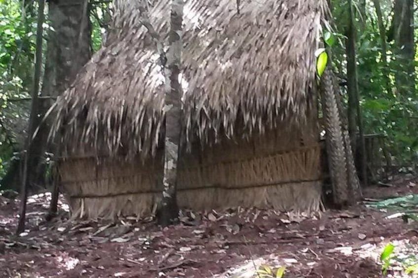 A thatched hut in a forested area. 4