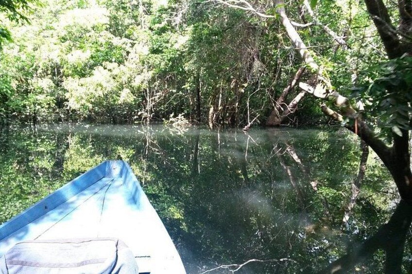 A blue canoe on calm water surrounded by dense greenery. 3