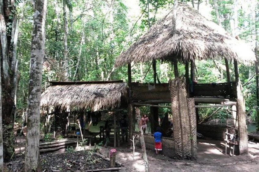 A thatched-roof structure in a forested area. 2