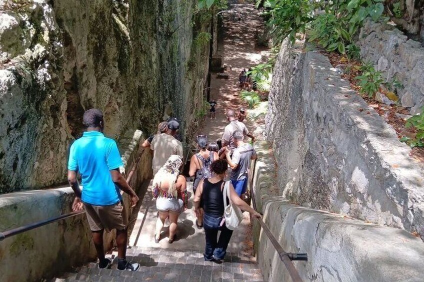 Drive Your Own Atv Tour w/Beach Stop (Drivers 21yr old+valid D/L) 2