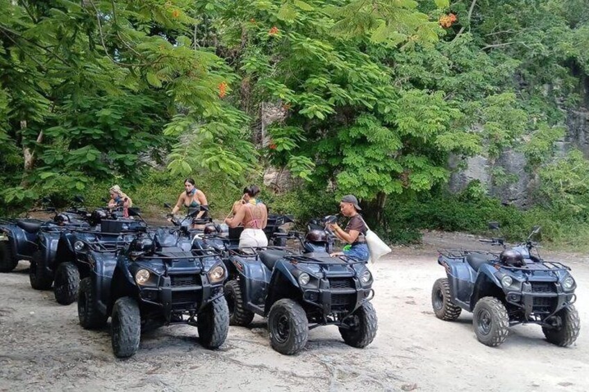 Drive Your Own Atv Tour w/Beach Stop (Drivers 21yr old+valid D/L) 3