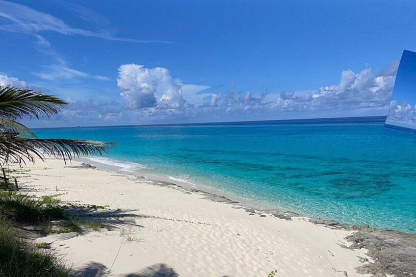 Taste the Real NASSAU flavours 4