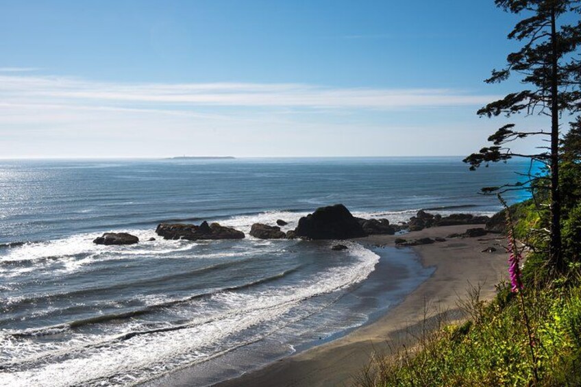 Beaches and tide-pools 1