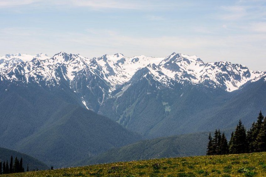Hurricane Ridge 3