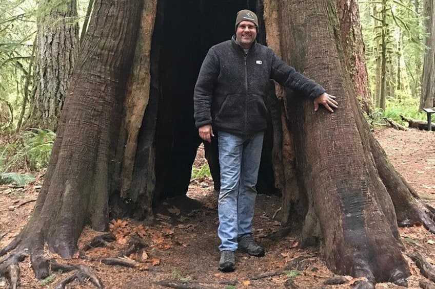 A man standing between two large trees in a forest. 5