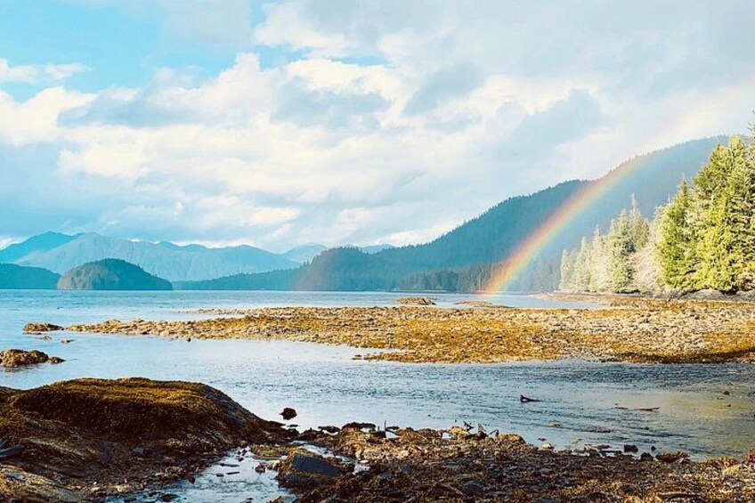 A coastal landscape with a rainbow, rocky shore, and forested mountains. 1