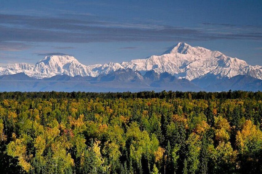Mt. Denali 5