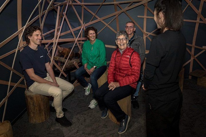 National Kiwi Hatchery - Kiwi Encounter Guided Tour 3